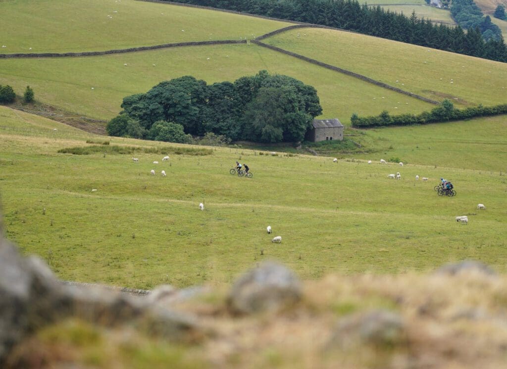 Crook Hill