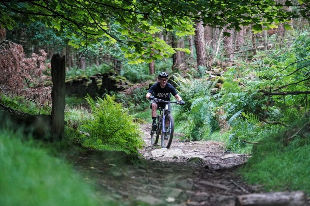 Lockerbrook
