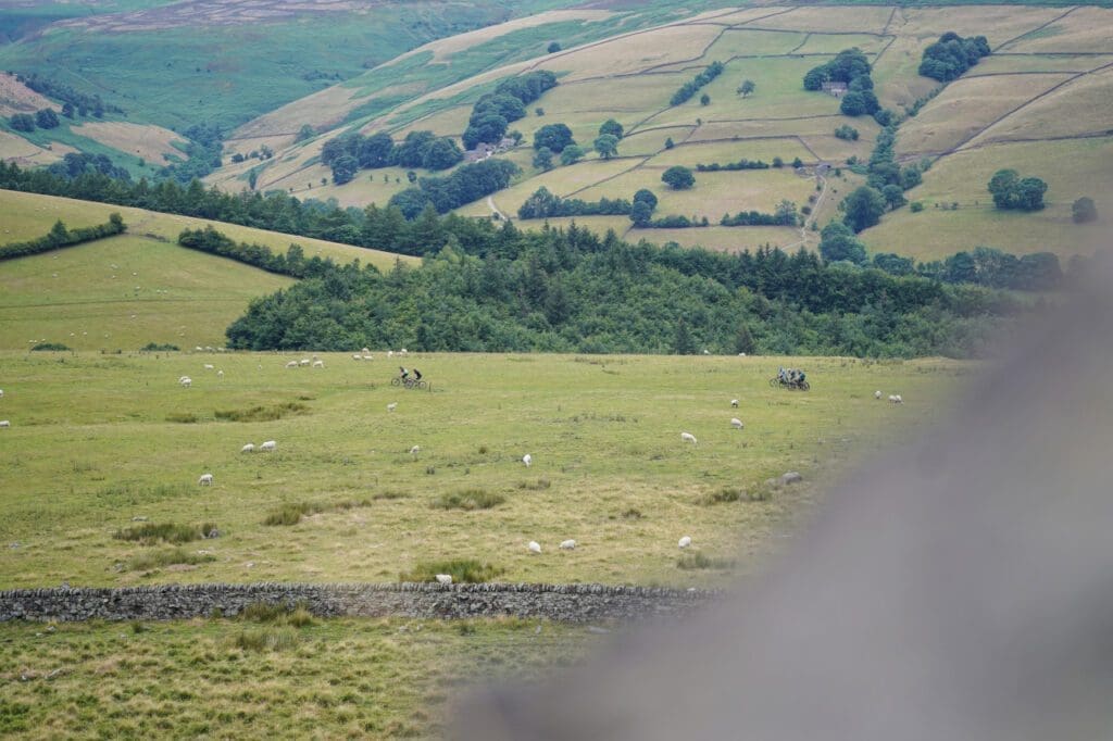 Crook Hill