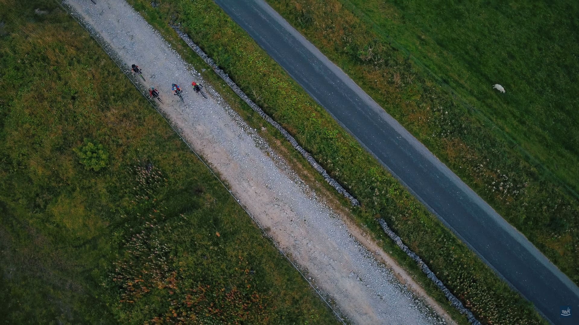 Dirtlow Rake